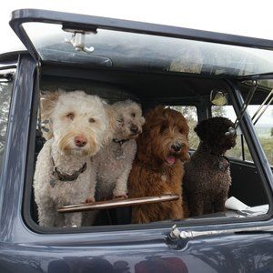 Meet your Posher, Helen